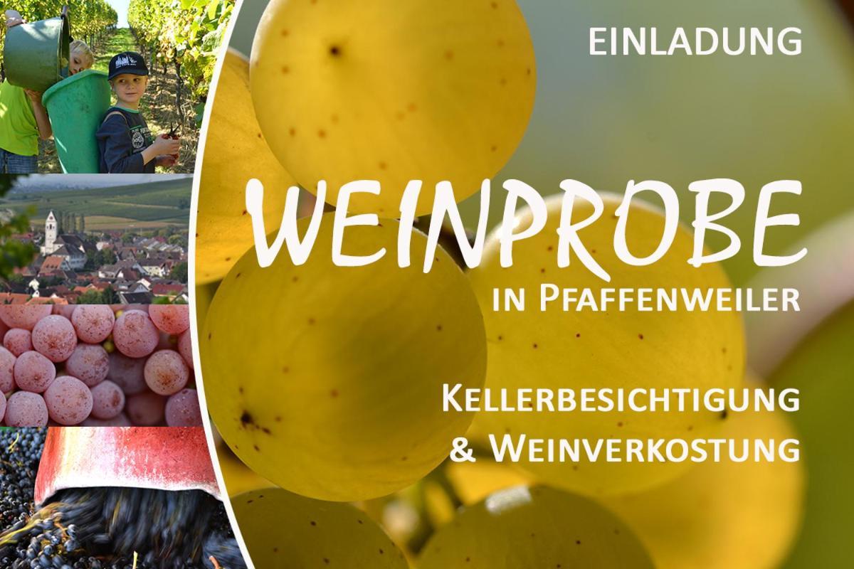 Am Weinberg - Stilvoll, Ruhig, Zum Wohlfuehlen Apartamento Pfaffenweiler Exterior foto